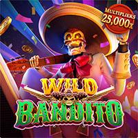 WB403 Wild Bandito